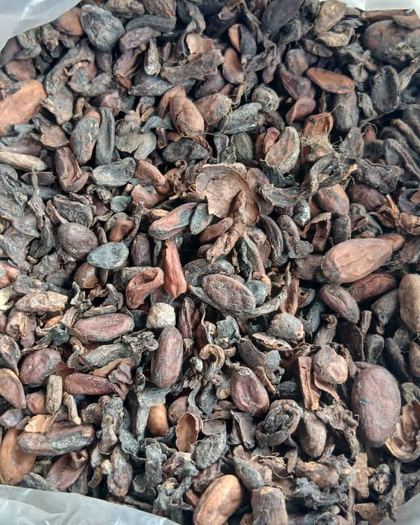 Dark, fully fermented and dried cocoa beans