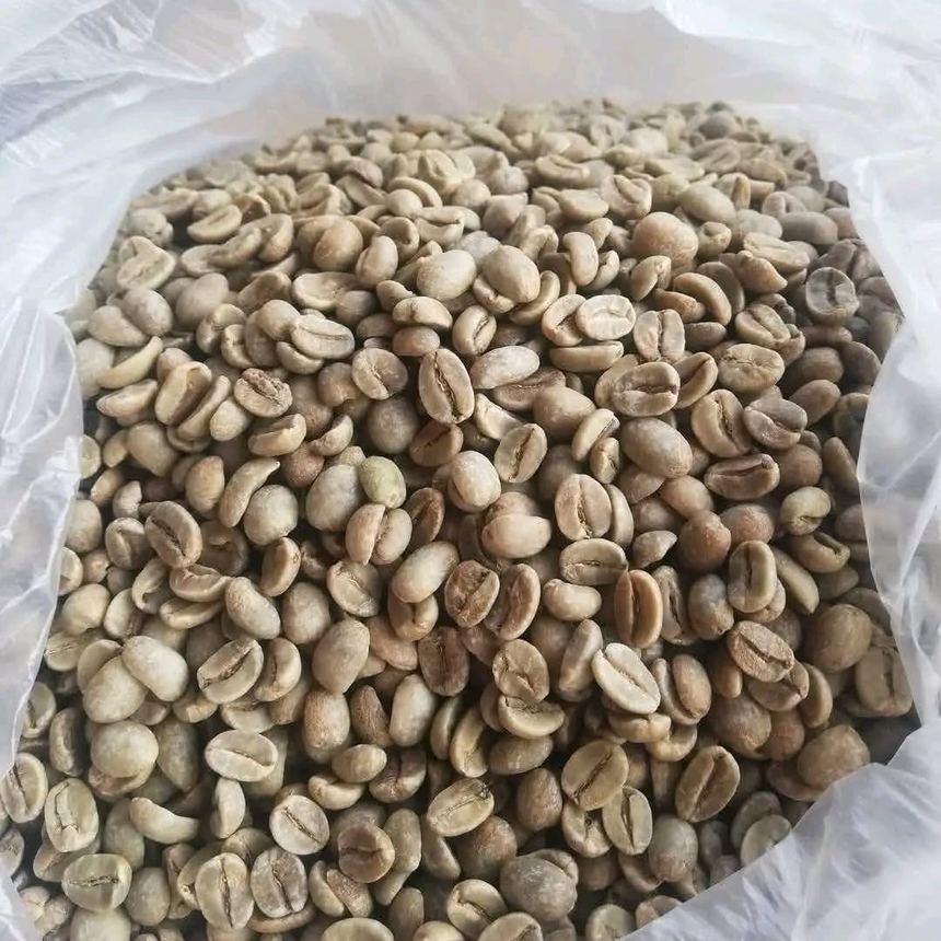 Green coffee beans in a lined storage bag