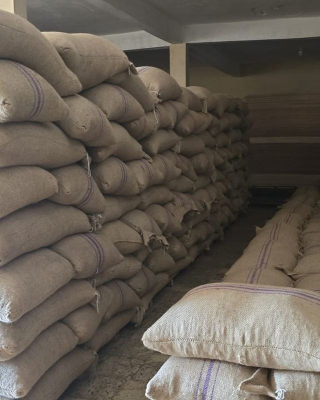 Filled jute sacks of commodities lined up, ready for handling